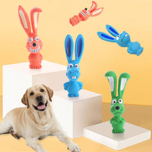 Load image into Gallery viewer, Bite Resistant Pet Dog Toy Dog Chewing Squeaky Toy Press Sound Squeak Pet Teeth Training Molar Toys Dog Chew Toy with Squeaker