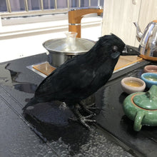 Load image into Gallery viewer, Halloween Black Crow Ornament Simulation Crow Animal Model Bird Scary Toys Horror Props Home Garden Decoration