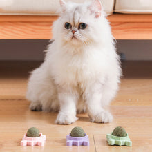 Load image into Gallery viewer, Tortoise Shape Cat Mint Ball Rotating Ball Wall Cat Toy Accessories for Cats Games Catnip Licking Snacks Mint Freshen Breath Pet Supplies