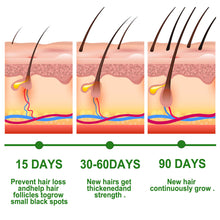 Load image into Gallery viewer, Rosemary Hair Care Essential Oil Nourishing Hair Roots Fixing Hair Moisturizing Repairing Hair Growth Liquid Hair Care