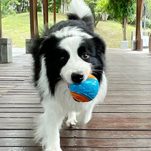 Load image into Gallery viewer, Pet Dog Interactive Ball Toy Squeaky Bite Resistant Chewing Balls Toy TPR Training Fetching Balls Molar Toys Pet Supplies
