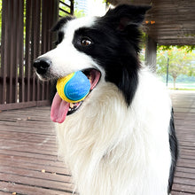 Load image into Gallery viewer, Pet Dog Interactive Ball Toy Squeaky Bite Resistant Chewing Balls Toy TPR Training Fetching Balls Molar Toys Pet Supplies