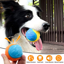 Load image into Gallery viewer, Pet Dog Interactive Ball Toy Squeaky Bite Resistant Chewing Balls Toy TPR Training Fetching Balls Molar Toys Pet Supplies