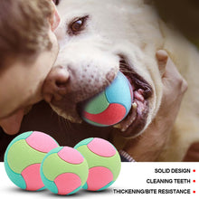 Load image into Gallery viewer, Pet Dog Interactive Ball Toy Bite Resistant Chewing Balls Toy TPR Training Fetching Balls Molar Toys Pet Supplies