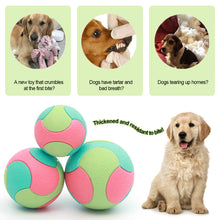 Load image into Gallery viewer, Pet Dog Interactive Ball Toy Bite Resistant Chewing Balls Toy TPR Training Fetching Balls Molar Toys Pet Supplies