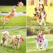 Load image into Gallery viewer, Interactive Ball Dog Toy for Aggressive Chewers Training Decompress Bite Resistant Plush Handle Dog Toys with Bells Pet Supplies