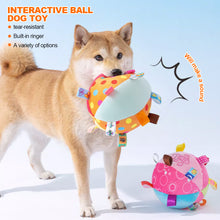 Load image into Gallery viewer, Interactive Ball Dog Toy for Aggressive Chewers Training Decompress Bite Resistant Plush Handle Dog Toys with Bells Pet Supplies