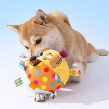 Load image into Gallery viewer, Interactive Ball Dog Toy for Aggressive Chewers Training Decompress Bite Resistant Plush Handle Dog Toys with Bells Pet Supplies
