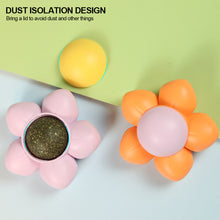 Load image into Gallery viewer, Cat Catnip Toys Ball Cat Treats Candy Licking Snacks Catnip Snack Self Cleaning Teeth Grinding Ball Toy Cat Supplies Pet Cleaning Tool