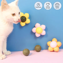 Load image into Gallery viewer, Cat Catnip Toys Ball Cat Treats Candy Licking Snacks Catnip Snack Self Cleaning Teeth Grinding Ball Toy Cat Supplies Pet Cleaning Tool