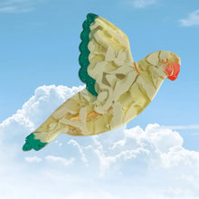 Load image into Gallery viewer, Pigeons Ducks Cute Creative Acetic Acid Hair Clip Animal Bird Hair Clips Children's Bangs Hair Clips Hairpin Hair Accessories