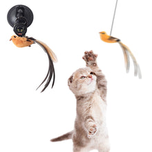 Load image into Gallery viewer, 1Pc Cat Hanging Interactive Toy Simulated Cat Catch Feather Toys Kitten Funny Elastic Teaser Rope Toy Training Toys Pet Daily Supplies