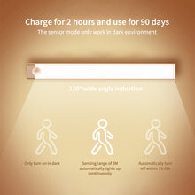 Load image into Gallery viewer, Wire-free Motion Sensor LED Under Cabinet Lamp Rechargeable Dimmable Charge and Plug Stairs Closet Room Aisle Tube Bulb