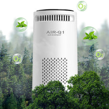 Load image into Gallery viewer, Portable Air Purifier for Home Car Negative Ion Air Cleaner For Smoke Pollen USB Quiet Deodorizer For Household Bedroom Office Auto Car