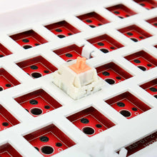 Load image into Gallery viewer, Holy Panda Tactile Keyboard Switch 3 Pin 55g 62g 67g POM Axis Mechanical Keyboard Custom Switches Hot Plug DIY GK61 TM680 Anne 2