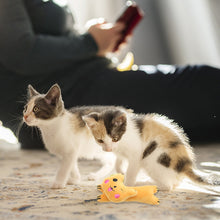 Load image into Gallery viewer, Cute Animal Shape Catnip Cats Toy Kitten Dinosaur Teeth Chewing Biting Plush Toys Cat Plush Thumb Pillow Pet Accessories