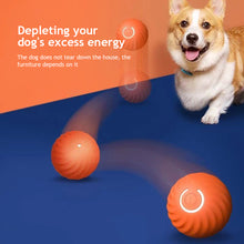 Load image into Gallery viewer, Automatic Jumping Ball for Pet Dog Electric Interactive Training Toys Puppy Fetch Ball Toys Indoor Outdoor Playing Ball for Medium Small Dogs