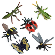 Load image into Gallery viewer, 6pcs/set Simulation Insect Model Mini Insect Butterfly Ladybug Spider Kids Educational Toys Action Figures Insect Model Collection Gifts