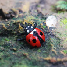 Load image into Gallery viewer, 6pcs/set Simulation Insect Model Mini Insect Butterfly Ladybug Spider Kids Educational Toys Action Figures Insect Model Collection Gifts