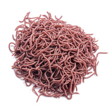Load image into Gallery viewer, 1Bag/50PCS 4/8CM Artificial Earthworm Bait Sea Fishing Lure Silicone Soft Bait For Carp Trout Bass Fishing Accessories