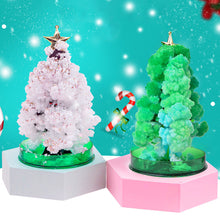 Load image into Gallery viewer, Magic Growing Christmas Tree DIY Xmas Gifts Toy for Adults Kids 15cm Mini Growing Cherry Blossom Tree Christmas Gifts Party Decor