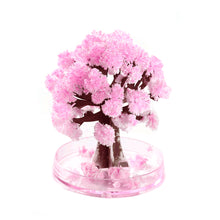 Load image into Gallery viewer, Magic Growing Christmas Tree DIY Xmas Gifts Toy for Adults Kids 15cm Mini Growing Cherry Blossom Tree Christmas Gifts Party Decor