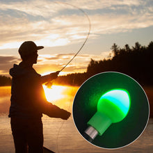 Load image into Gallery viewer, 2PCS 3D Gravity Sensing Night Fishing Drift Taillight Bite Color-Changing Led Light Fishing Float Deep Sea Fishing Accessories