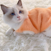 Load image into Gallery viewer, Cute Pattern Pet Vest Coat Winter Warm Pet Clothes for Chihuahua Sweatshirt Puppy Cat Pullover Dogs Pets Clothing