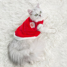Load image into Gallery viewer, Cute Pattern Pet Vest Coat Winter Warm Pet Clothes for Chihuahua Sweatshirt Puppy Cat Pullover Dogs Pets Clothing