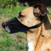 Load image into Gallery viewer, Anti Barking Dog Muzzle For Small Large Dogs Adjustable Mesh Breathable Pet Mouth Muzzles Nylon Straps Dog Accessories