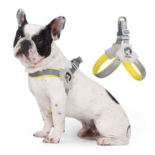 Load image into Gallery viewer, Pet Dog Clothes Soft Breathable Leash Set for Small Medium Dogs Chihuahua Puppy Collar Cat Pet Dog Chest Strap Leash