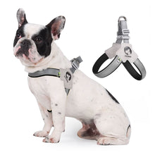 Load image into Gallery viewer, Pet Dog Clothes Soft Breathable Leash Set for Small Medium Dogs Chihuahua Puppy Collar Cat Pet Dog Chest Strap Leash