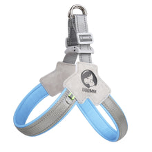 Load image into Gallery viewer, Pet Dog Clothes Soft Breathable Leash Set for Small Medium Dogs Chihuahua Puppy Collar Cat Pet Dog Chest Strap Leash