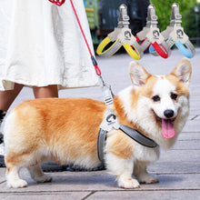 Load image into Gallery viewer, Pet Dog Clothes Soft Breathable Leash Set for Small Medium Dogs Chihuahua Puppy Collar Cat Pet Dog Chest Strap Leash