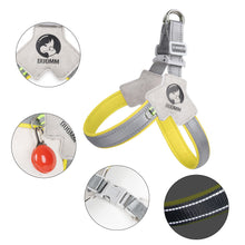 Load image into Gallery viewer, Pet Dog Clothes Soft Breathable Leash Set for Small Medium Dogs Chihuahua Puppy Collar Cat Pet Dog Chest Strap Leash