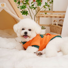 Load image into Gallery viewer, Autumn and Winter Snake Pattern Pullover Pet Clothes Cute Puppy Kitten Coats Sweater for Small Medium Dogs Cats Warm Winter Outfit
