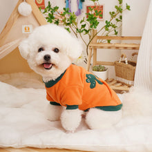 Load image into Gallery viewer, Autumn and Winter Snake Pattern Pullover Pet Clothes Cute Puppy Kitten Coats Sweater for Small Medium Dogs Cats Warm Winter Outfit