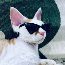 Load image into Gallery viewer, 1PC Lovely Pet Eyeglasses Multicolor Triangle Glasses Fashion Cool Cat Dog Photos Props Accessories Pet Products