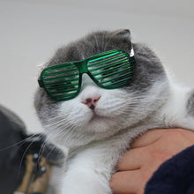 Load image into Gallery viewer, 1Pc Lovely Pet Cat Glasses Dog Glasses Pet Products Cat Toy Dog Sunglasses Photos Props Pet Accessoires Creative Colored Sunglasses