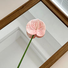 Load image into Gallery viewer, 1Pc Single Branch 3D Simulation Anthurium Home Green Plants Potted Decoration Flower Arrangement Adhesive Tape Artificial Flowers