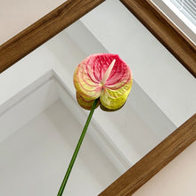 Load image into Gallery viewer, 1Pc Single Branch 3D Simulation Anthurium Home Green Plants Potted Decoration Flower Arrangement Adhesive Tape Artificial Flowers