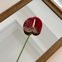 Load image into Gallery viewer, 1Pc Single Branch 3D Simulation Anthurium Home Green Plants Potted Decoration Flower Arrangement Adhesive Tape Artificial Flowers