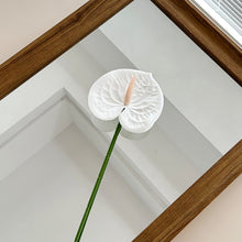 Load image into Gallery viewer, 1Pc Single Branch 3D Simulation Anthurium Home Green Plants Potted Decoration Flower Arrangement Adhesive Tape Artificial Flowers