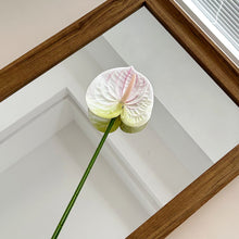 Load image into Gallery viewer, 1Pc Single Branch 3D Simulation Anthurium Home Green Plants Potted Decoration Flower Arrangement Adhesive Tape Artificial Flowers