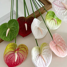 Load image into Gallery viewer, 1Pc Single Branch 3D Simulation Anthurium Home Green Plants Potted Decoration Flower Arrangement Adhesive Tape Artificial Flowers