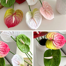 Load image into Gallery viewer, 1Pc Single Branch 3D Simulation Anthurium Home Green Plants Potted Decoration Flower Arrangement Adhesive Tape Artificial Flowers