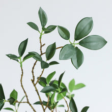 Load image into Gallery viewer, Simulated banyan branches with leaves Home plant decoration Seven star leaf seedling plant Bonsai elm flowers