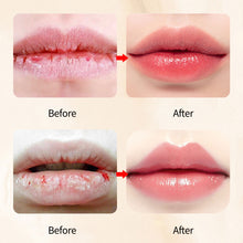 Load image into Gallery viewer, Moisturizing Lip Gloss Transparent Lip Oil Essence Lip Oil Mirror Lip Glaze Fade Transparent Moisturizing Lip Lines Cosmetics