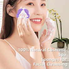 Load image into Gallery viewer, 10pcs Plum Blossom Compressed Wood Pulp Cotton Natural Facial Cleanser Face Washing Cleansing Sponge Cosmetic Puff