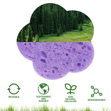 Load image into Gallery viewer, 10pcs Plum Blossom Compressed Wood Pulp Cotton Natural Facial Cleanser Face Washing Cleansing Sponge Cosmetic Puff